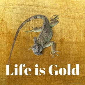 LIFE IS GOLD album cover