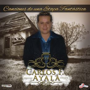 Canciones De Una Etapa Fantástica album cover