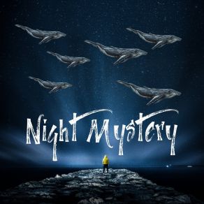 NIGHT MISTERY album cover