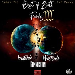 Best Of Both Families, Vol. 3 album cover