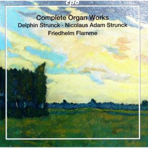 Organ Works Of The North German Baroque XI - Friedhelm Flamme CD1 album cover