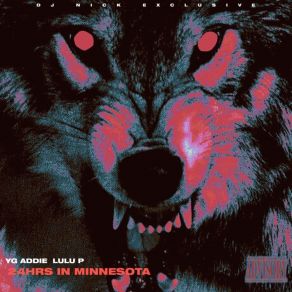 24 Hours In Minnesota album cover