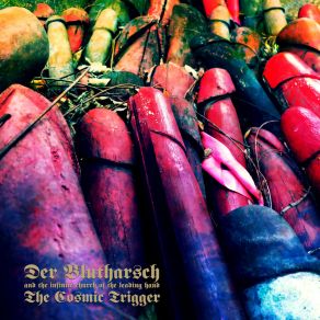 The Cosmic Trigger: Retriggered (: Retriggered) album cover