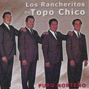 Puro Norteño album cover