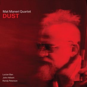 Dust album cover