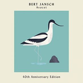 Avocet (40th Anniversary Edition) album cover