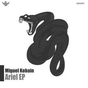 Ariel album cover