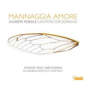Mannaggia Amore - Giuseppe Porsile: Cantatas For Soprano album cover