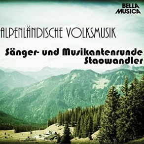 Alpenländische Volksmusik, Vol. 8 album cover