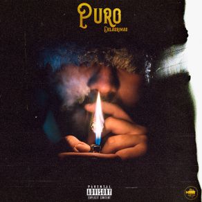 Puro album cover
