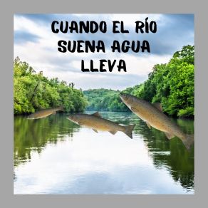 CUANDO EL RIO SUENA AGUA LLEVA album cover