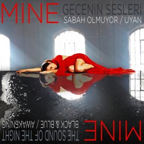 Gecenin Sesleri album cover