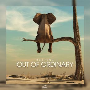 Out Of Ordinary album cover