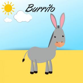 BURRITO album cover