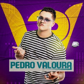 Só Hits album cover
