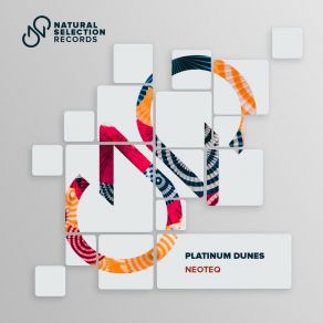 Platinum Dunes album cover