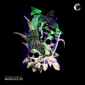 Manifold (Original Mix) album cover