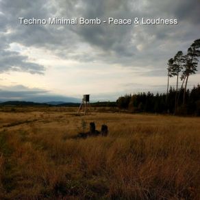 Peace & Loudness album cover
