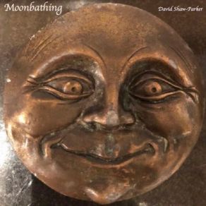 Moonbathing album cover