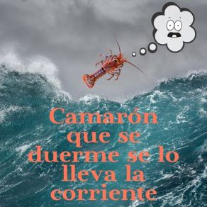 Camarón Que Se Duerme Se Lo Lleva La Corriente album cover