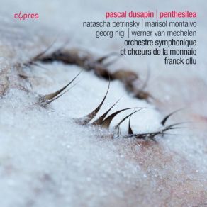 Pascal Dusapin: Penthesilea album cover