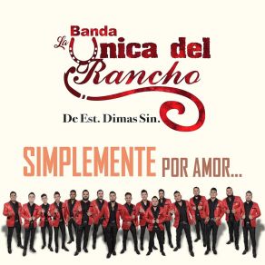 Simplemente Por Amor album cover