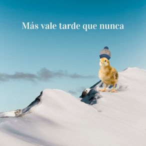 Más Vale Tarde Que Nunca album cover