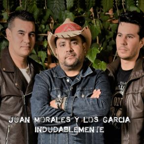 Indudablemente album cover