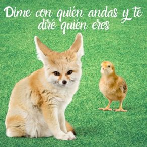 Dime Con Quién Andas Y Te Diré Quién Eres album cover
