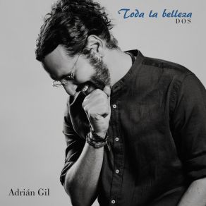 Toda La Belleza Dos album cover