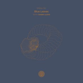 Blue Leaves album cover