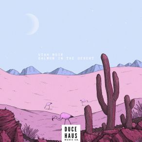 Salmon In The Desert album cover