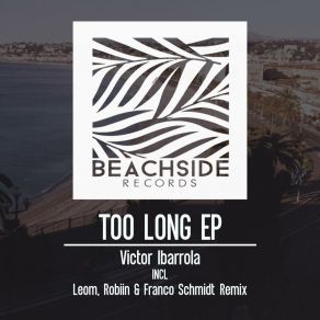 Too Long album cover