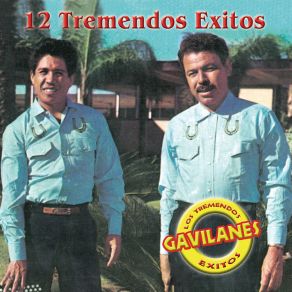 12 Tremendos Exitos album cover