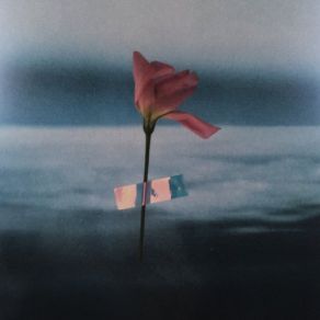 Paralanguage album cover