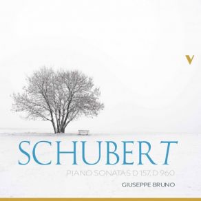 Schubert: Piano Sonatas, D. 157 & 960 album cover