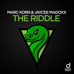 The Riddle album cover