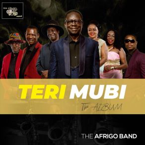 Teri Mubi album cover