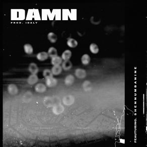 DAMN album cover