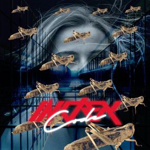 Criquets album cover