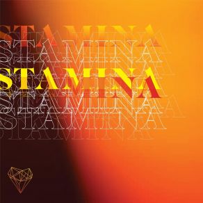 Stamina album cover