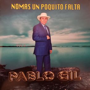Nomas Un Poquito Falta album cover