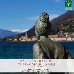 The Two Violin Sonatas, Op. 87 & 117 album cover