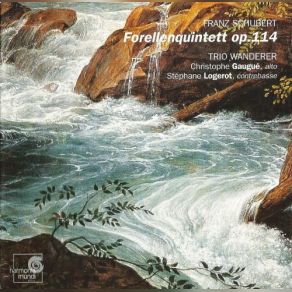 Hummel, Schubert: Quintets album cover