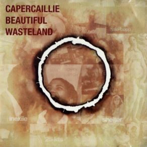 Beautiful Wasteland album cover