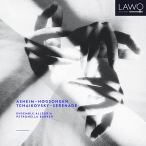 Asheim: Høgsongen / Tchaikovsky: Serenade album cover