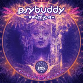 Protonix (Indian Symphony) album cover