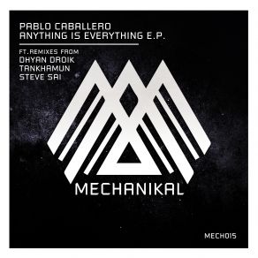 Anything Is Everything album cover