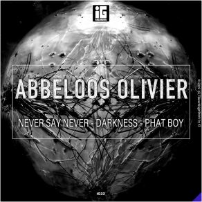 Never Say Never - Darkness - Phat Boy album cover