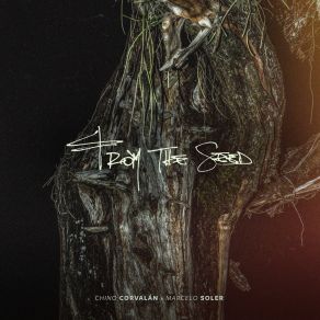 From The Seed album cover